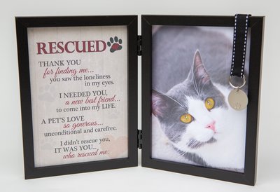 Rescued Double Desk Frame - Cat
